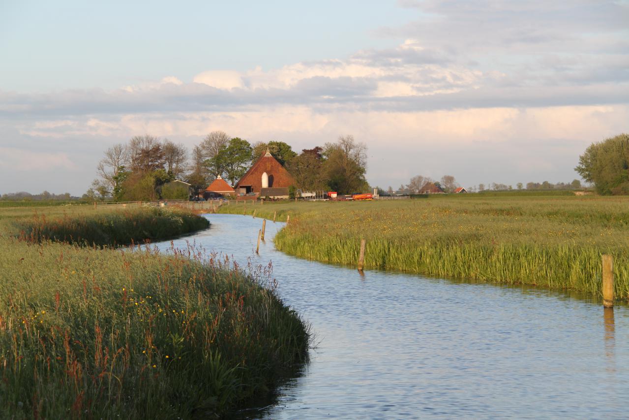 sloot met weilanden en boerderij