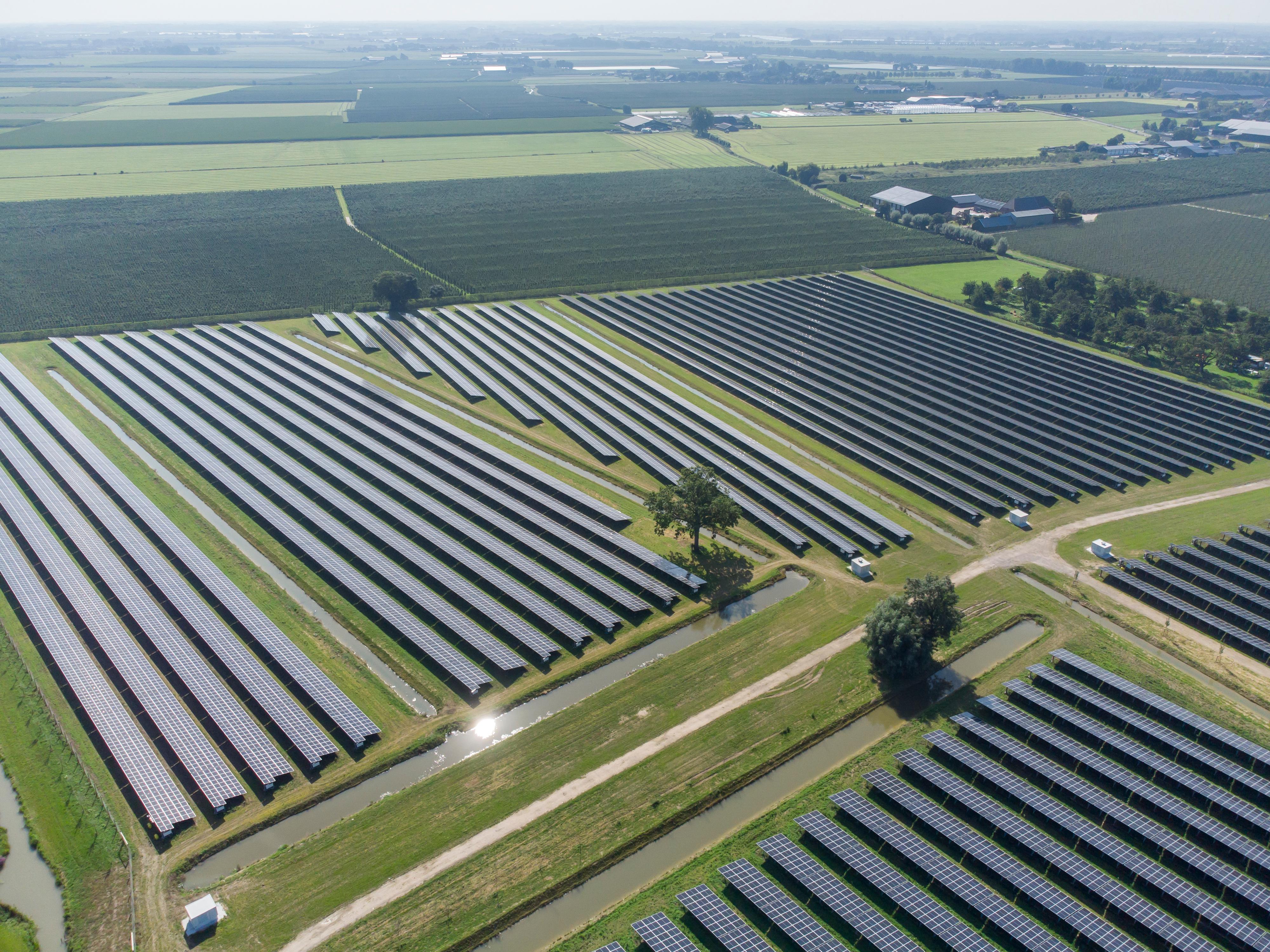 Veld met zonnepanelen