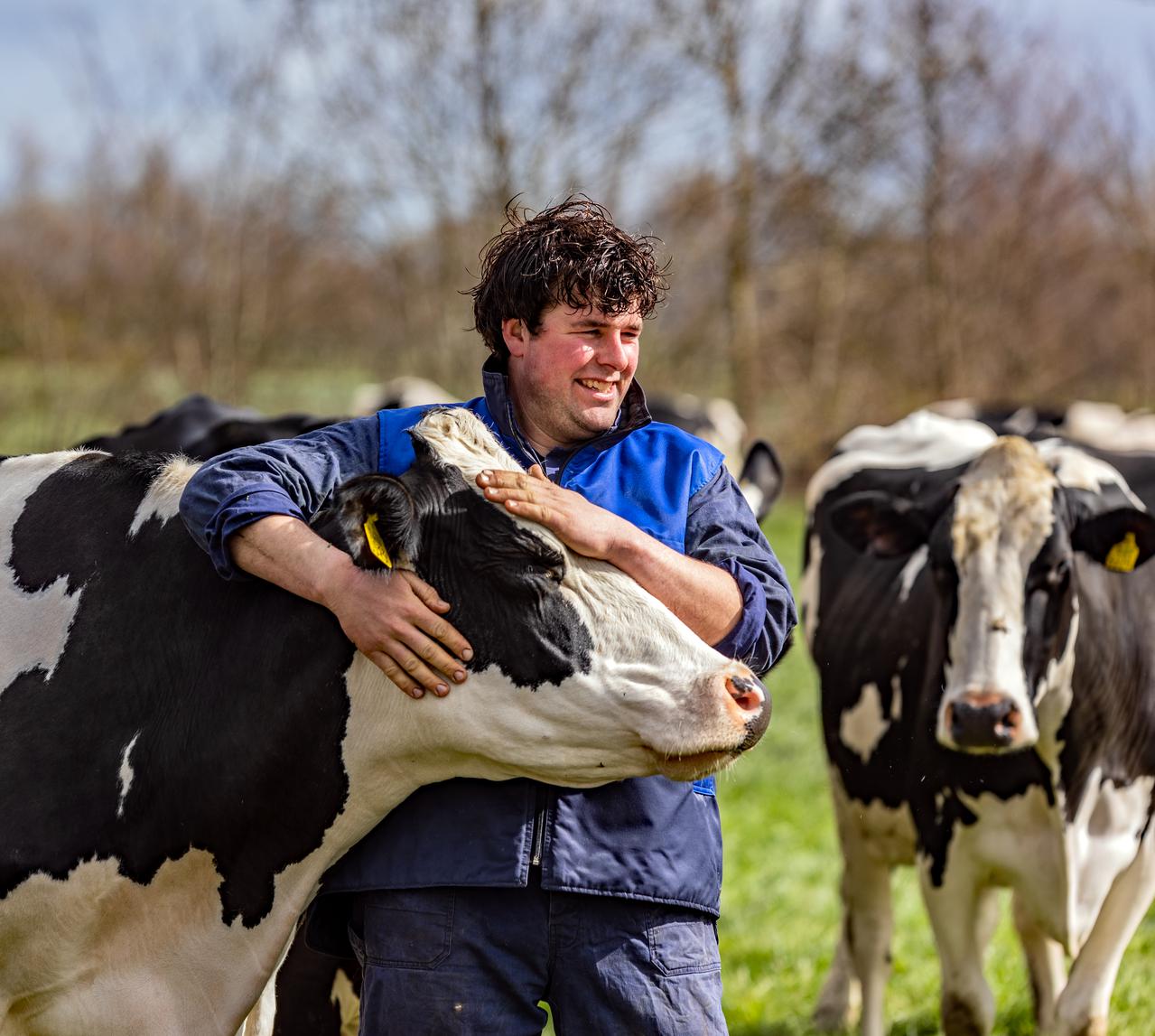 boer met koe
