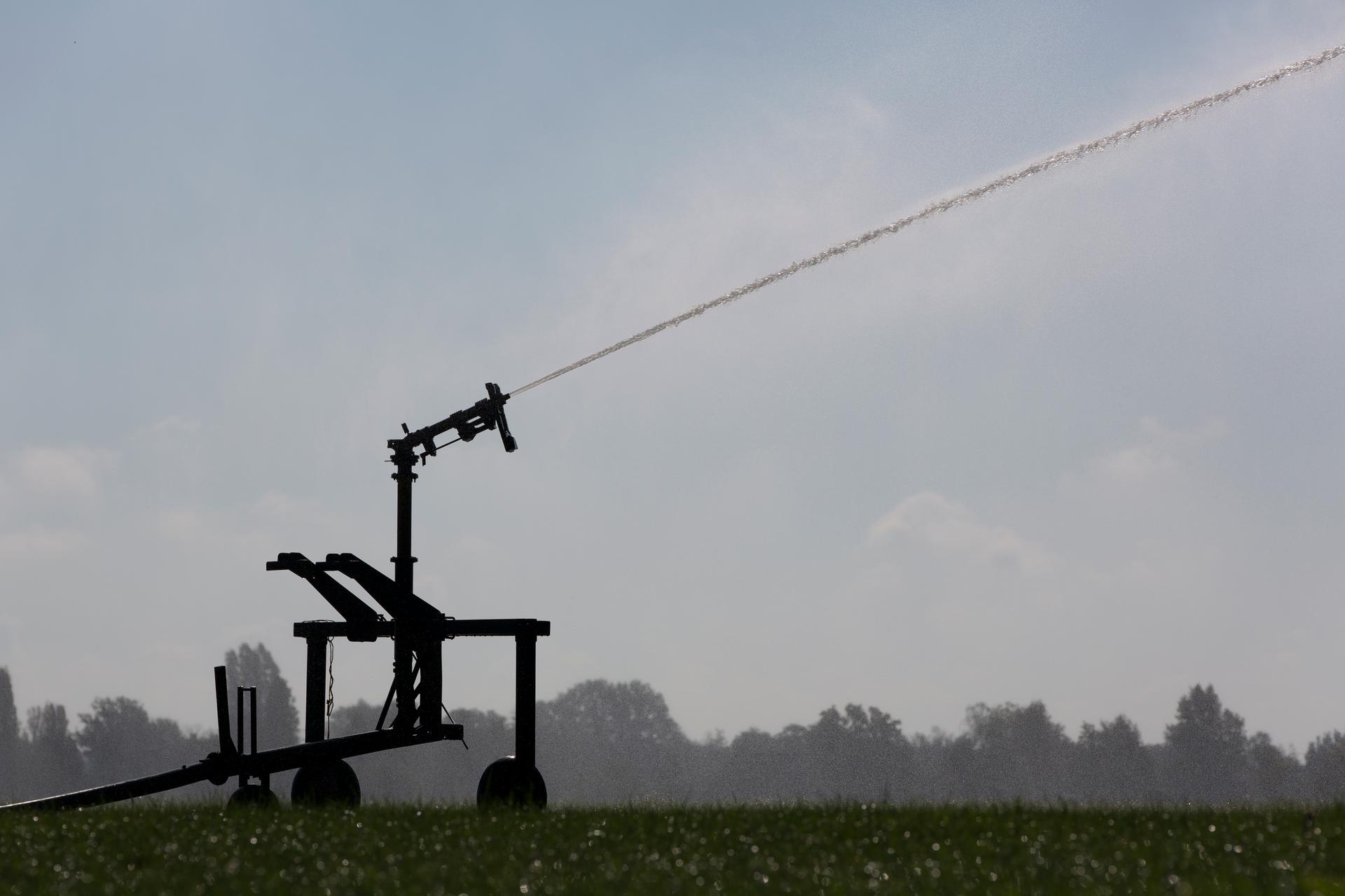 beregening op een perceel met een gewas