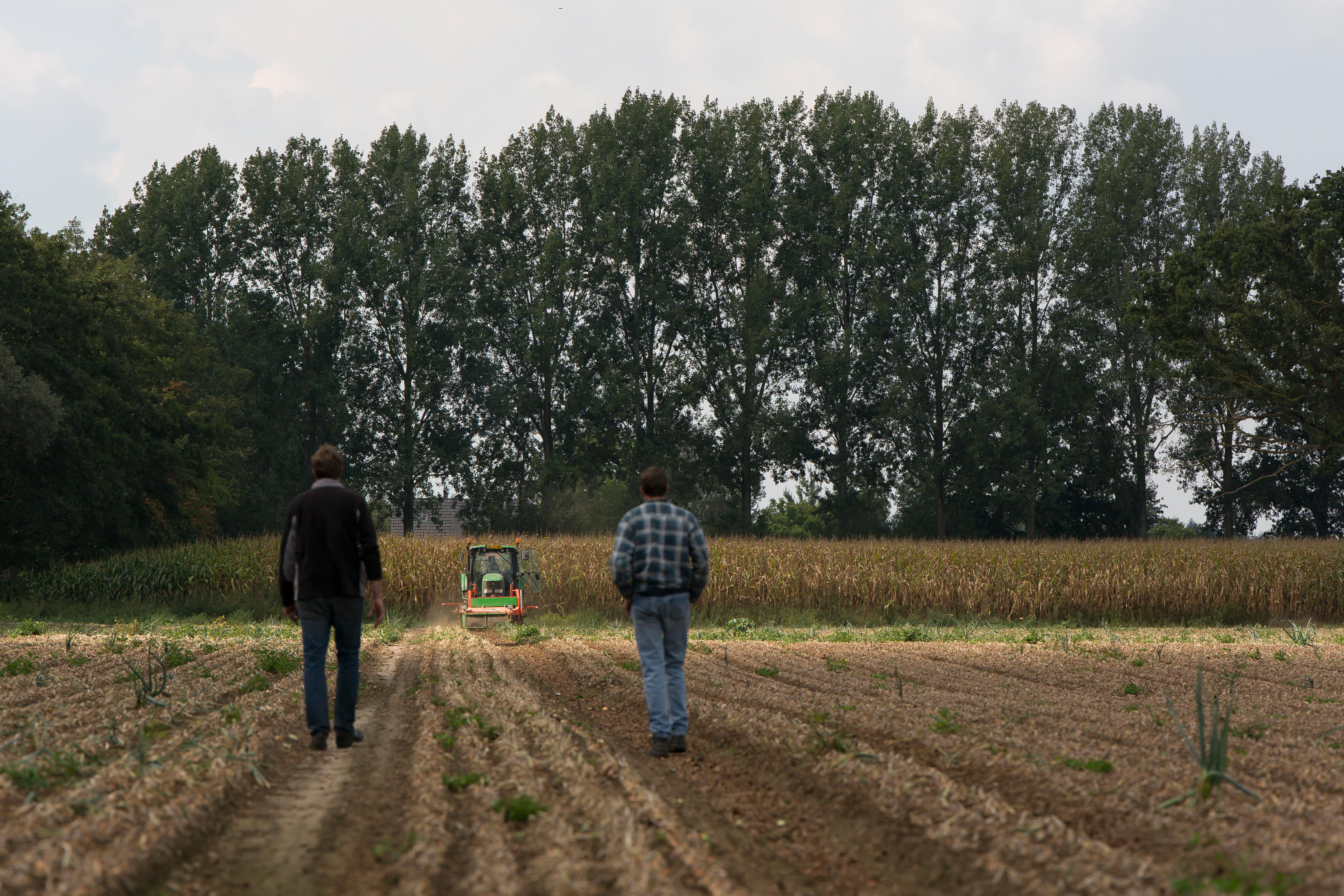 Boer kijkt over akker