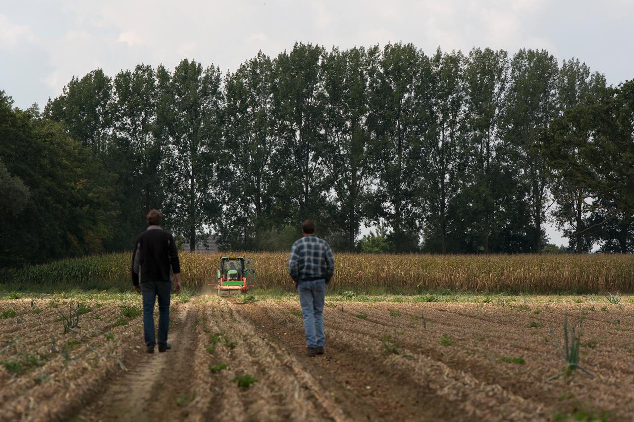Akkerbouw
