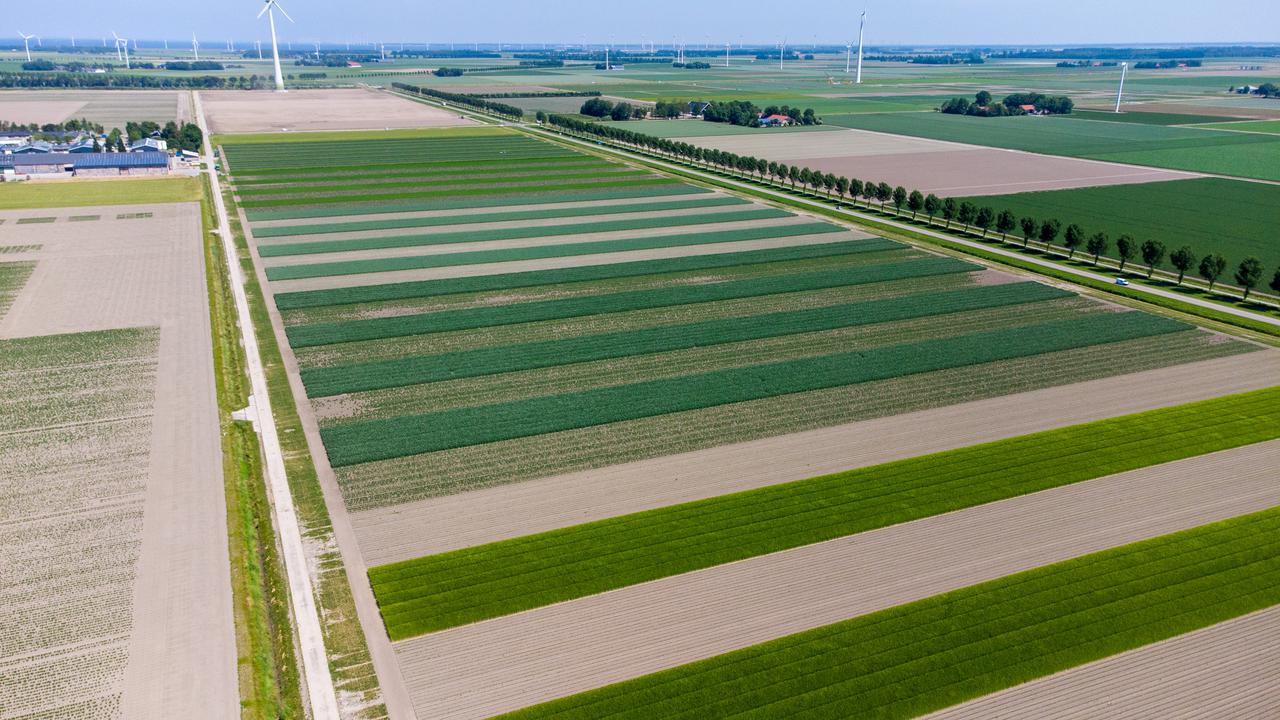 luchtfoto met smalle proefvelden met verschillende soorten planten