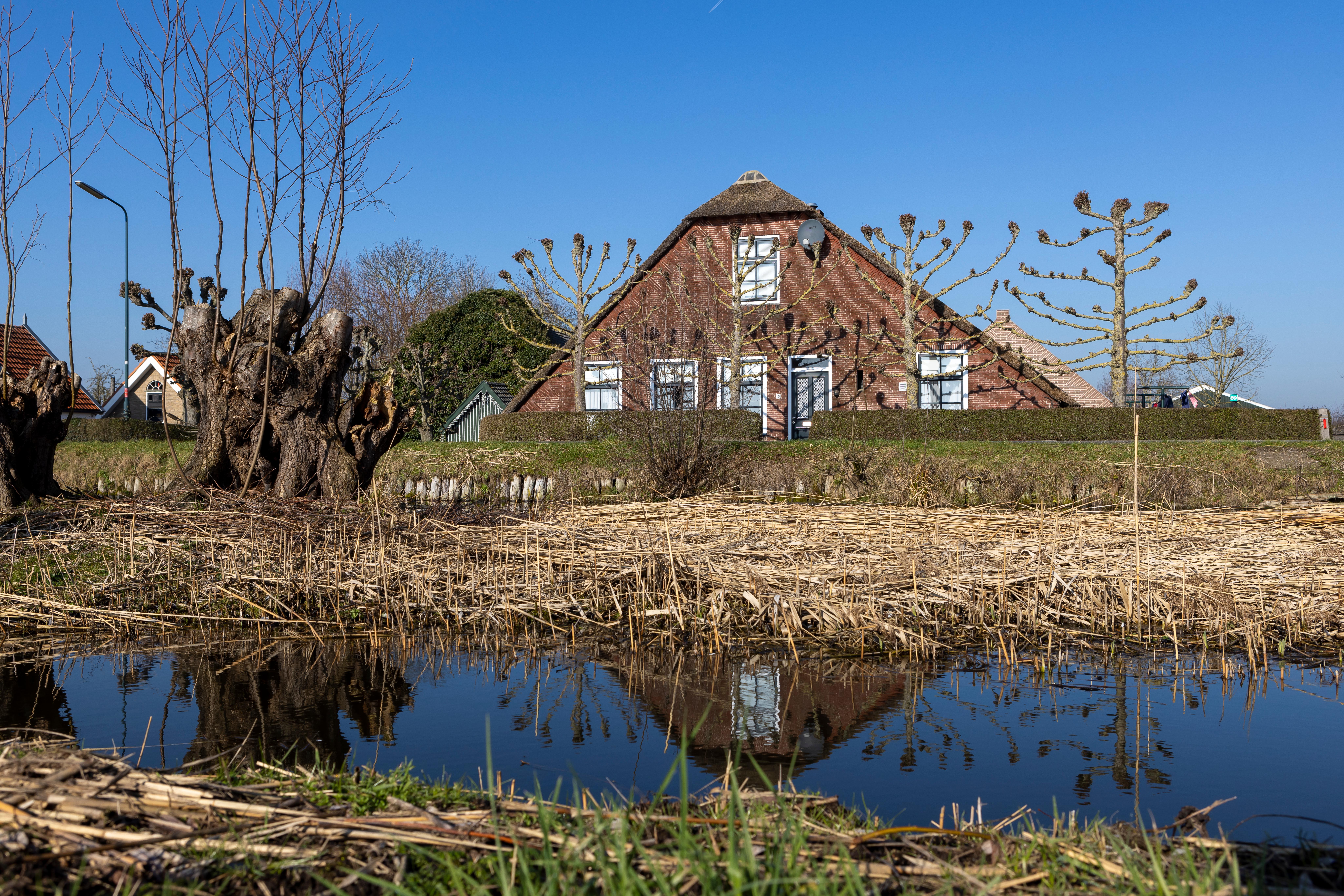 boerderij met sloot