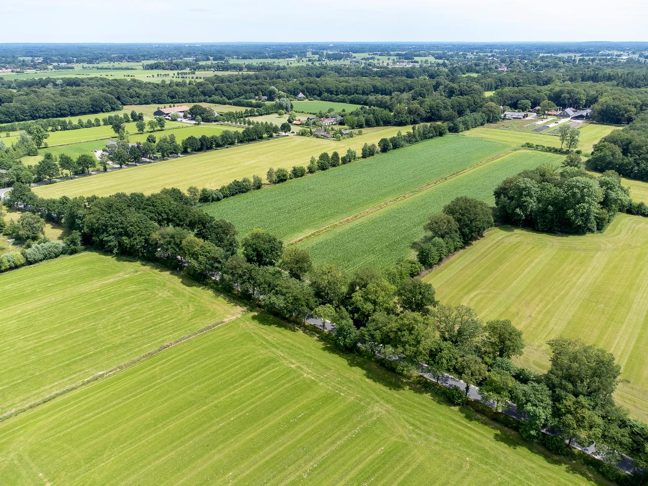 luchtfoto van landschap in Utrecht-Gelderland met melkveehouderijbedrijven tussen boomrijen en kleine bosjes inn