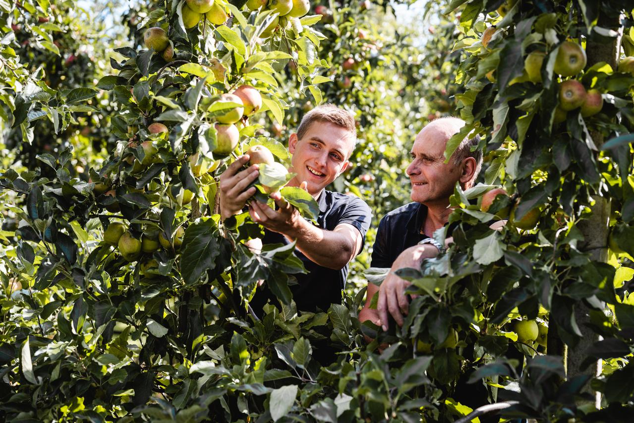 Jongere en oudere teler bekijken samen de appels