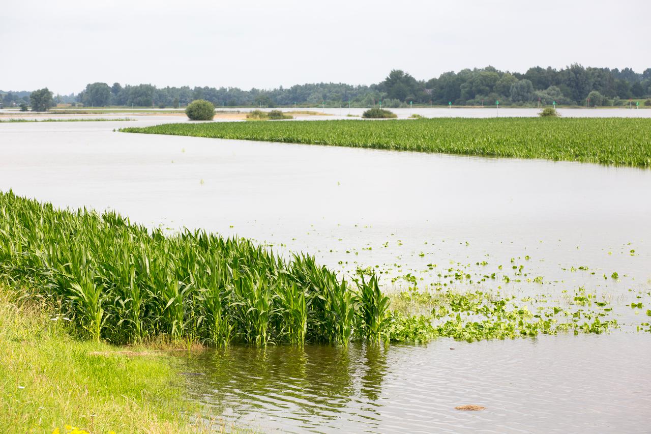 Ondergelopen land bij rivier