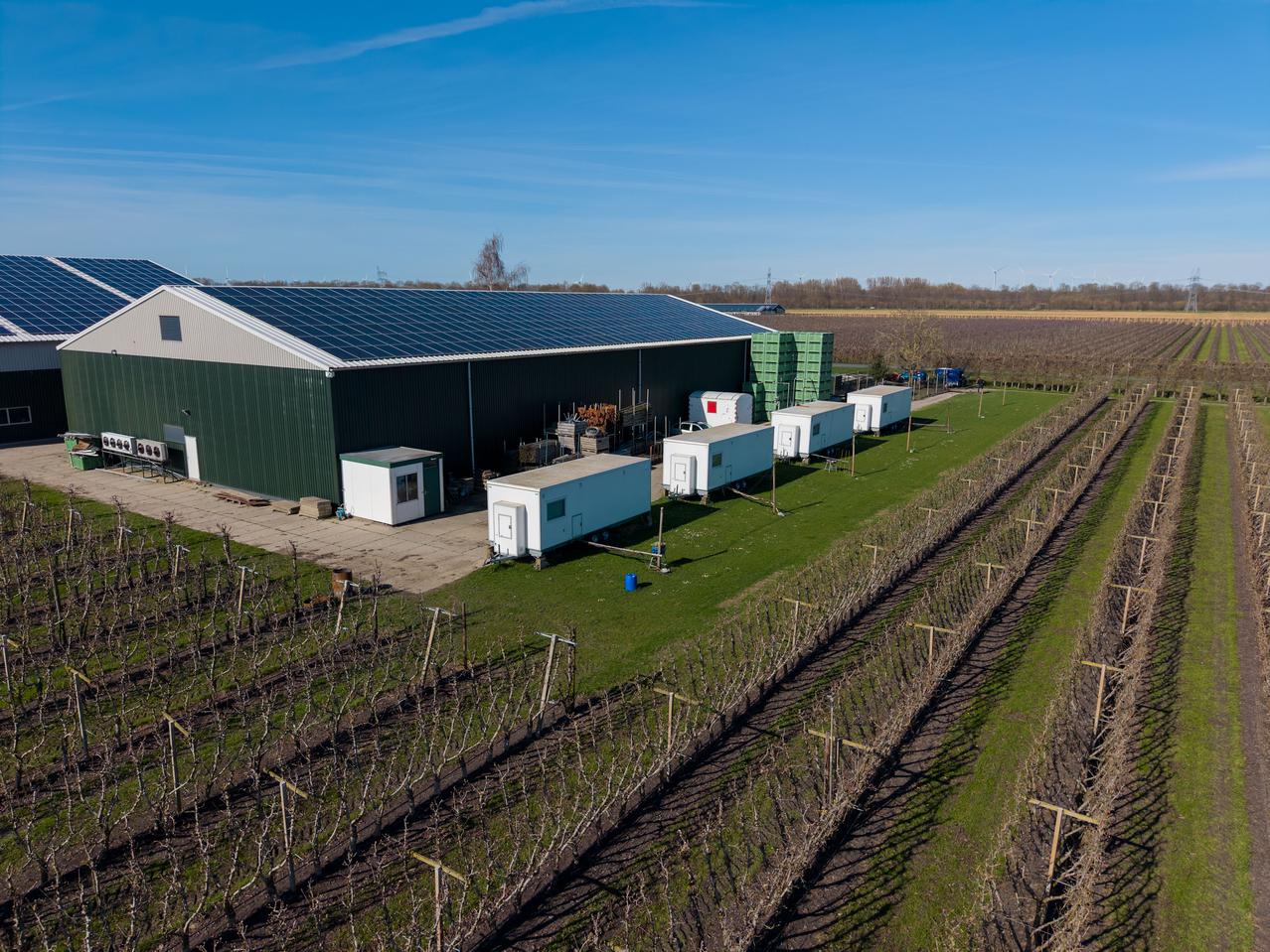 Huisvesting op fruitbedrijf
