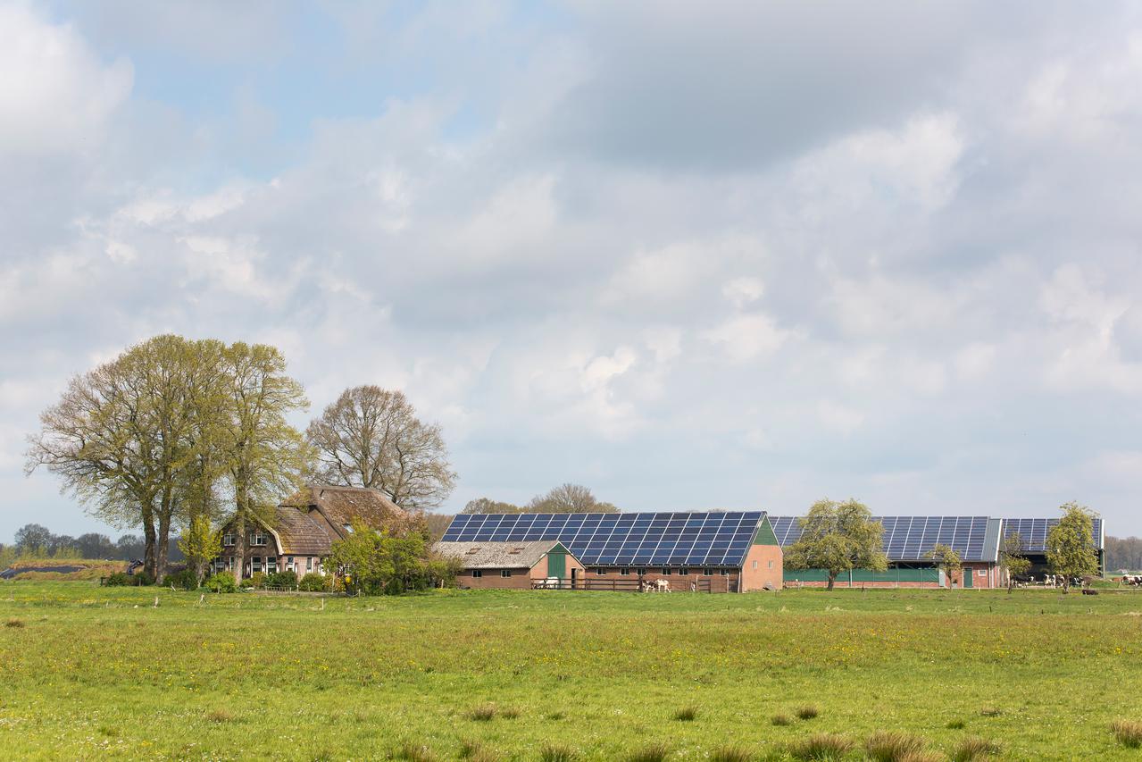 boerderij met meerdere stallen met zonnepanelen op het dak