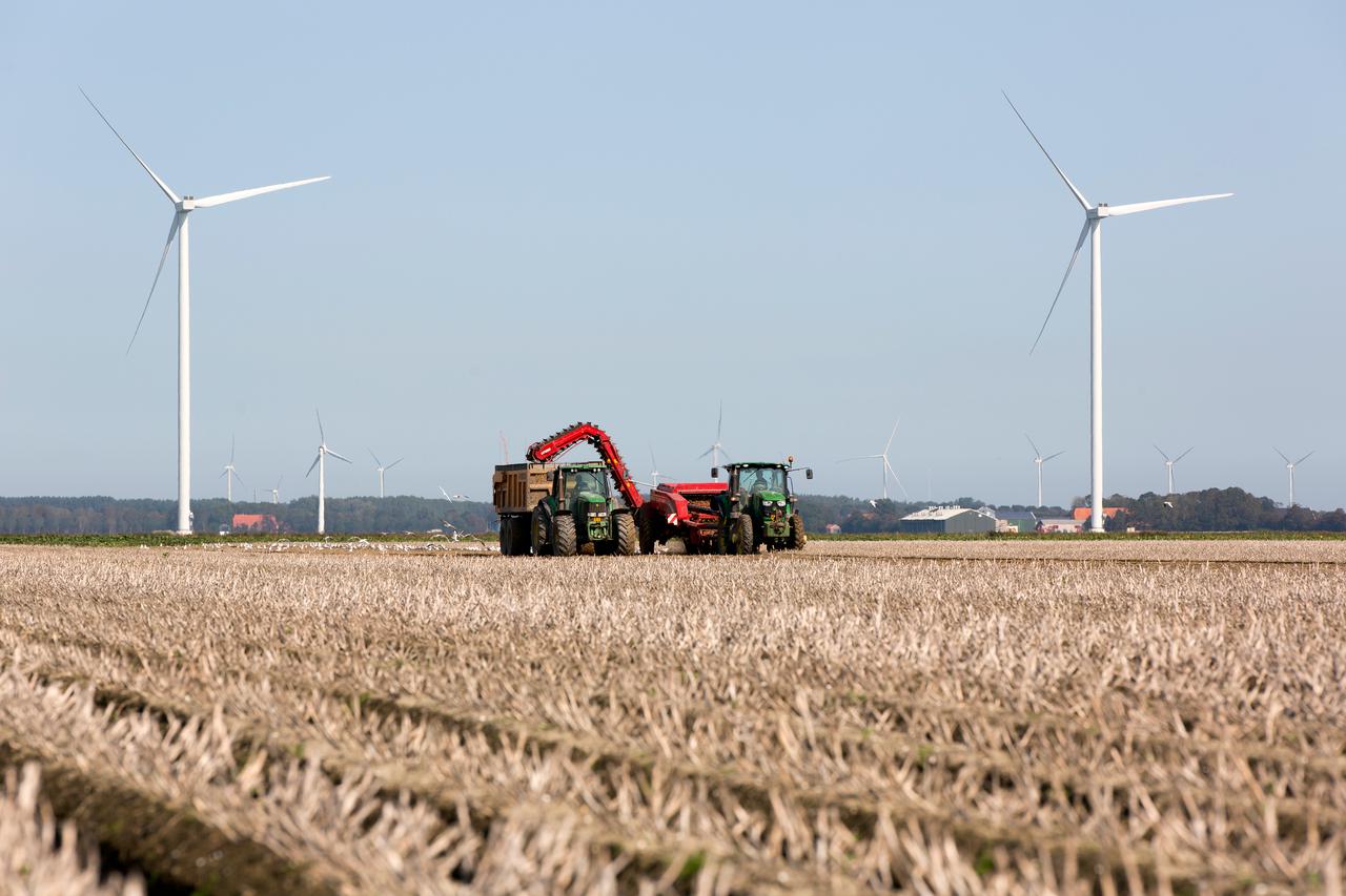 Windmolen bij vollegrondsgroente