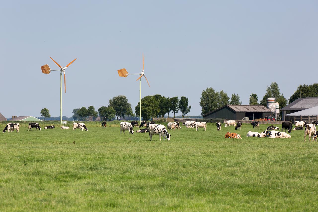 Boerderijwindmolens met koeien en boerderij