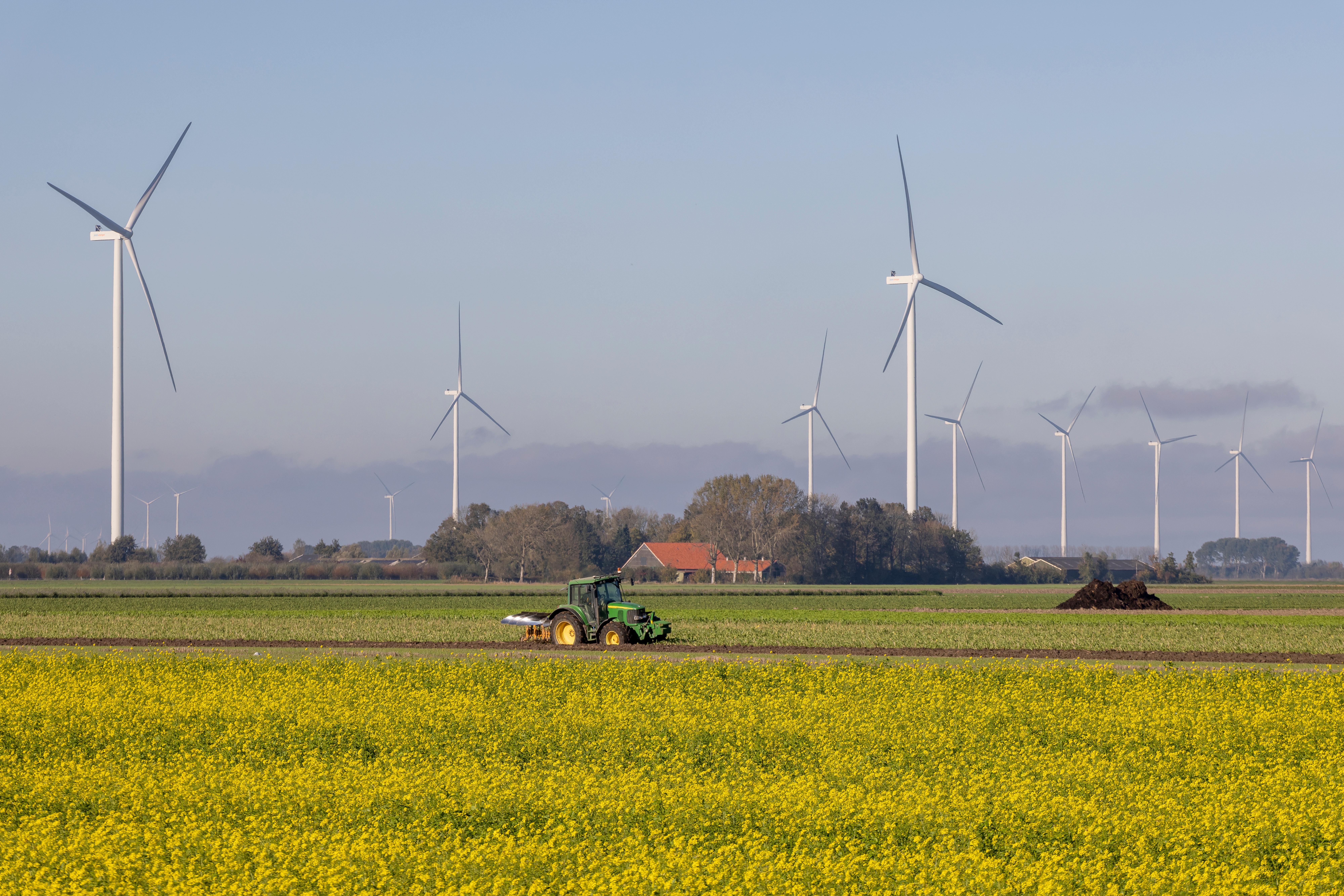 landschap flevoland