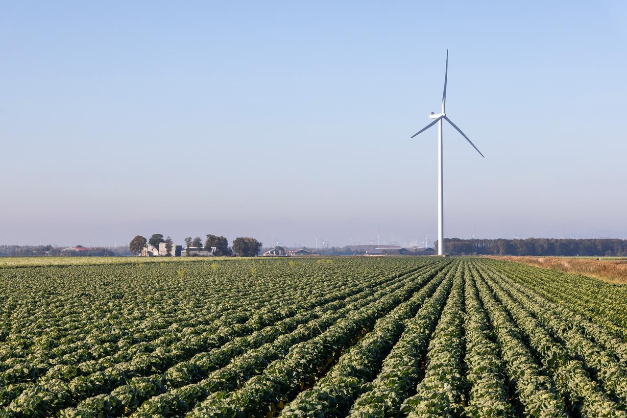 Flevoland