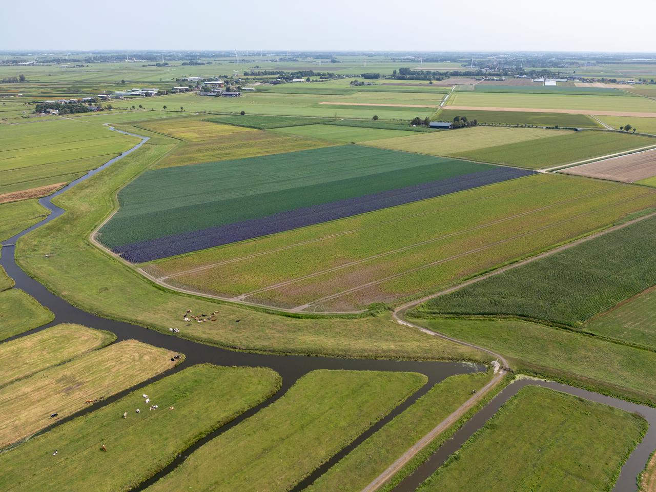 Noord-Holland