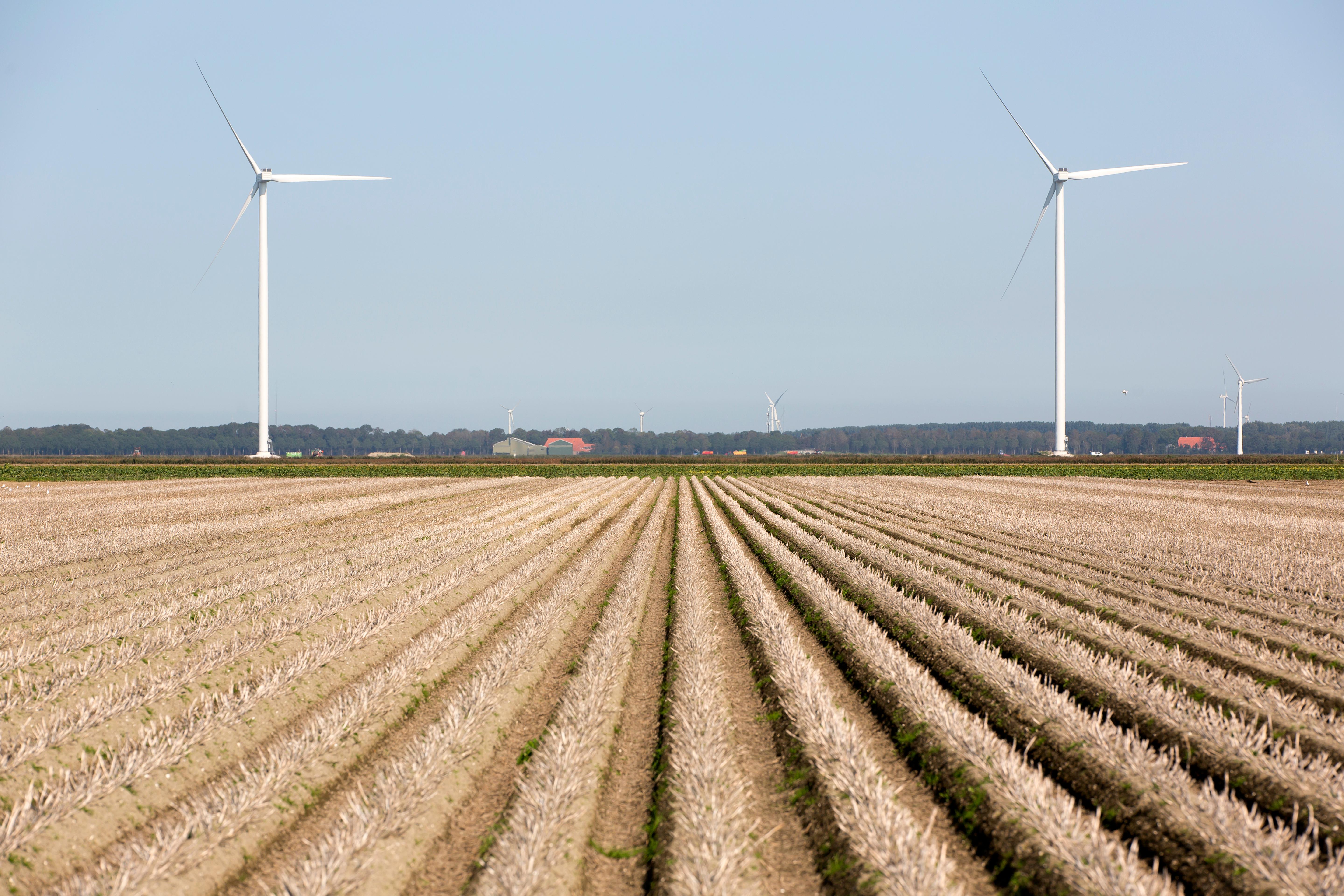 Akker met windmolens op de achtergrond.