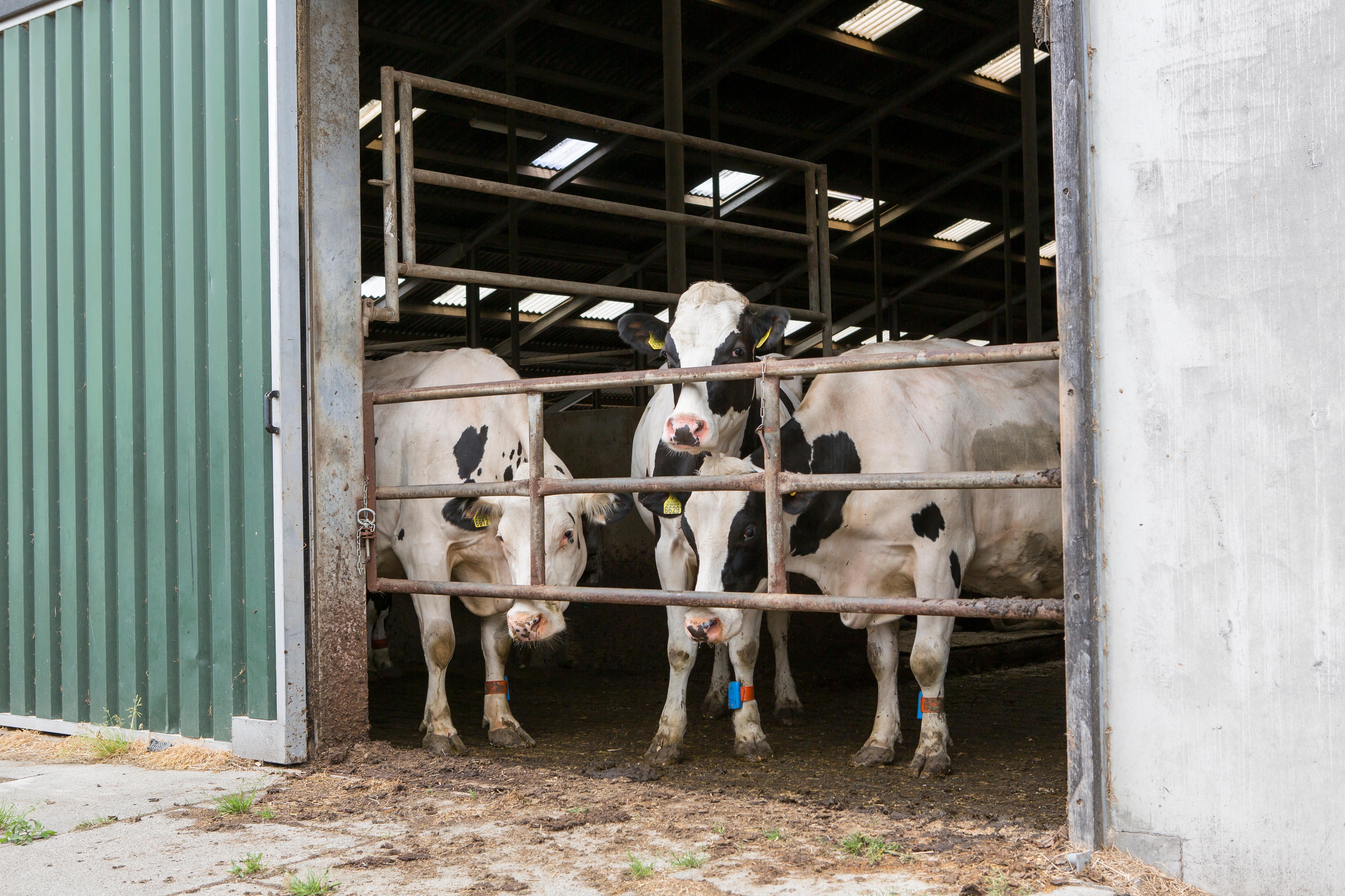 25 jaar Vertrouwensloket
