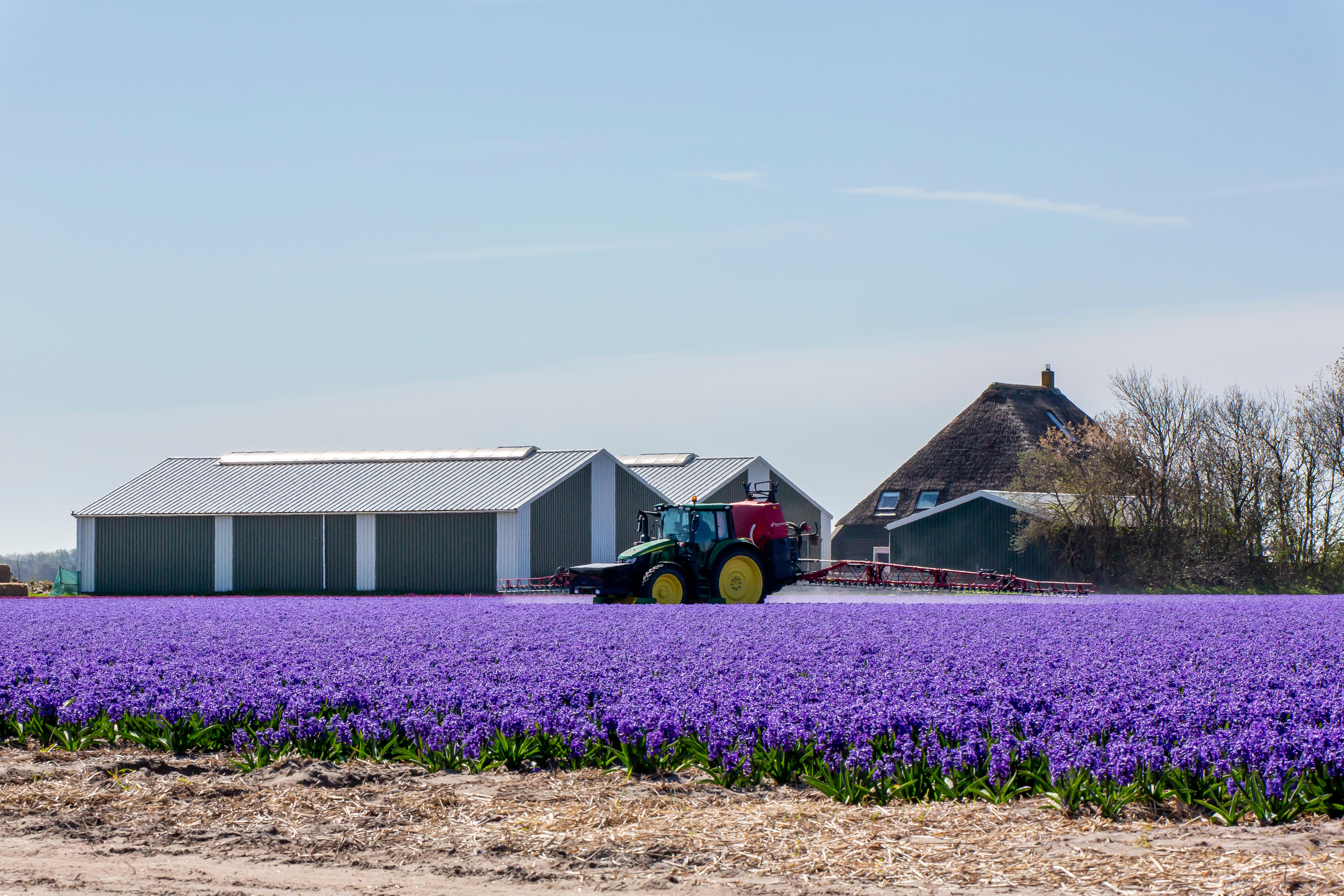 In 2020 hebben de overheid en de land- en tuinbouwsectoren het ‘Uitvoeringsprogramma Toekomstvisie Gewasbescherming 2030’ vastgesteld.