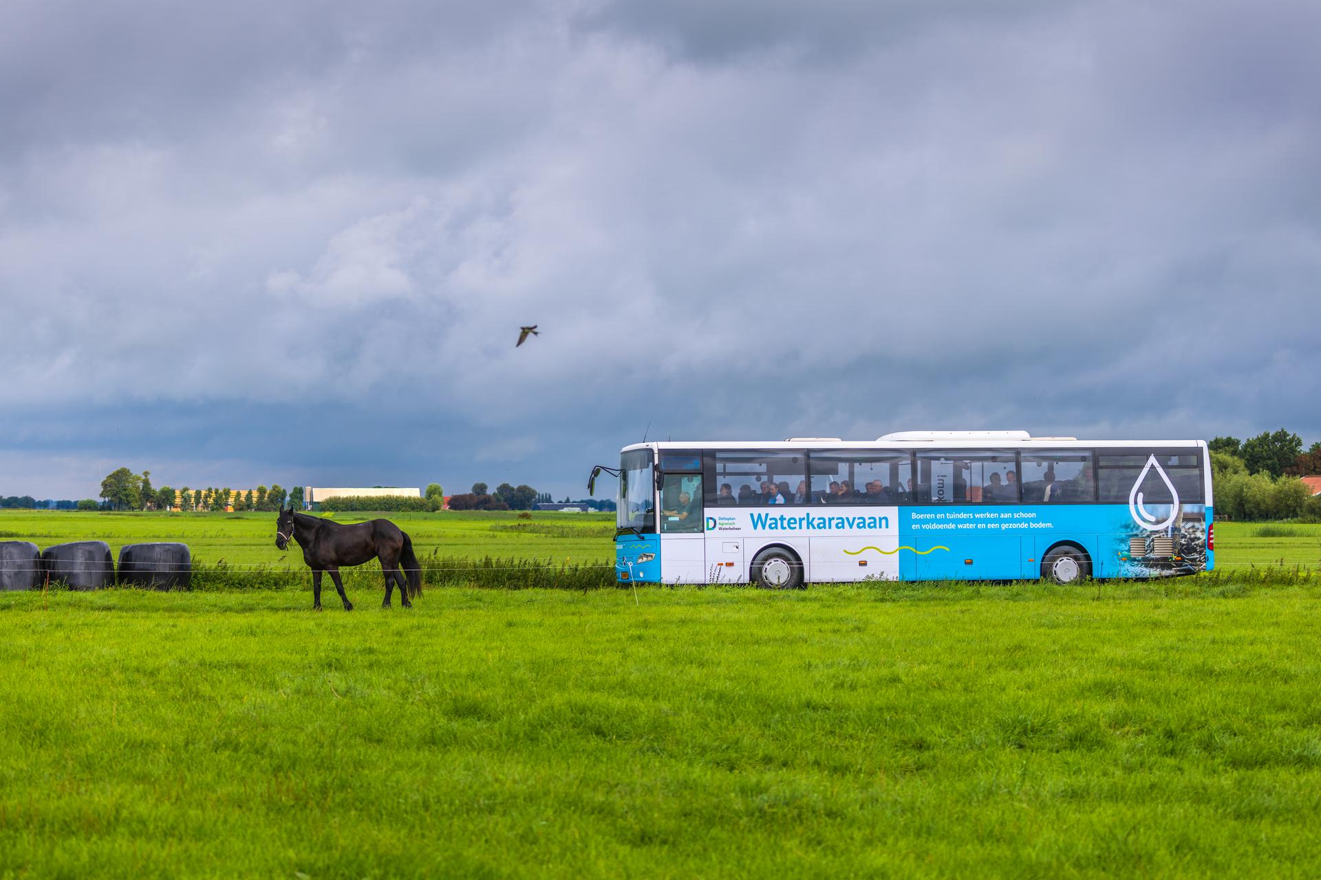 DAW Waterkaravaan bus rijdt door weidelandschap met paard