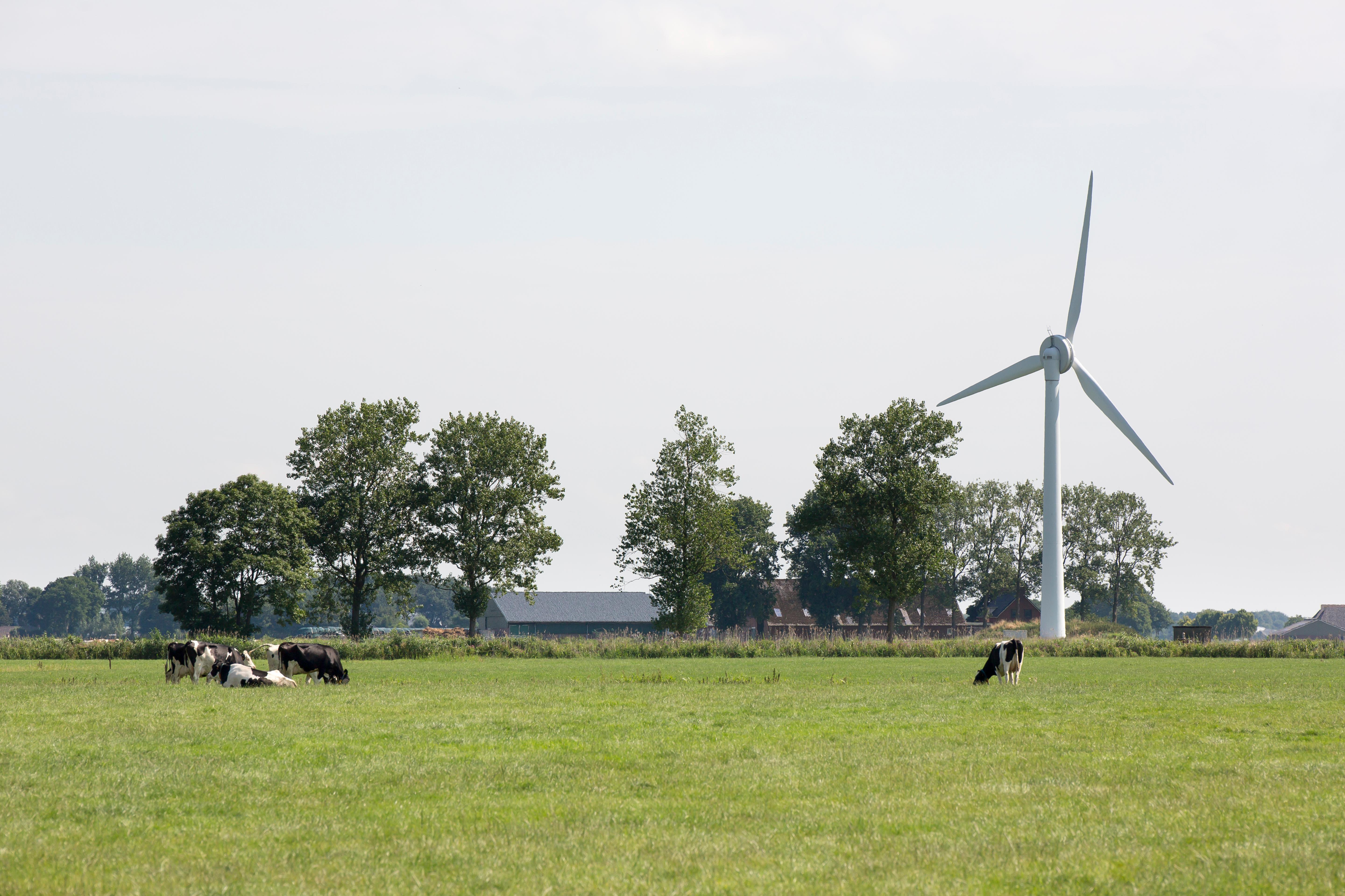Windenergie op het boerenbedrijf