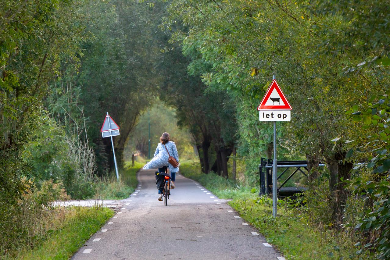 Vrouw fietst over weg met bomen bij jou in de buurt