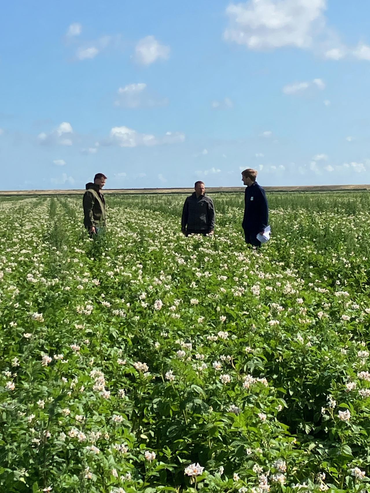 boeren in veld met gewas over verzilting