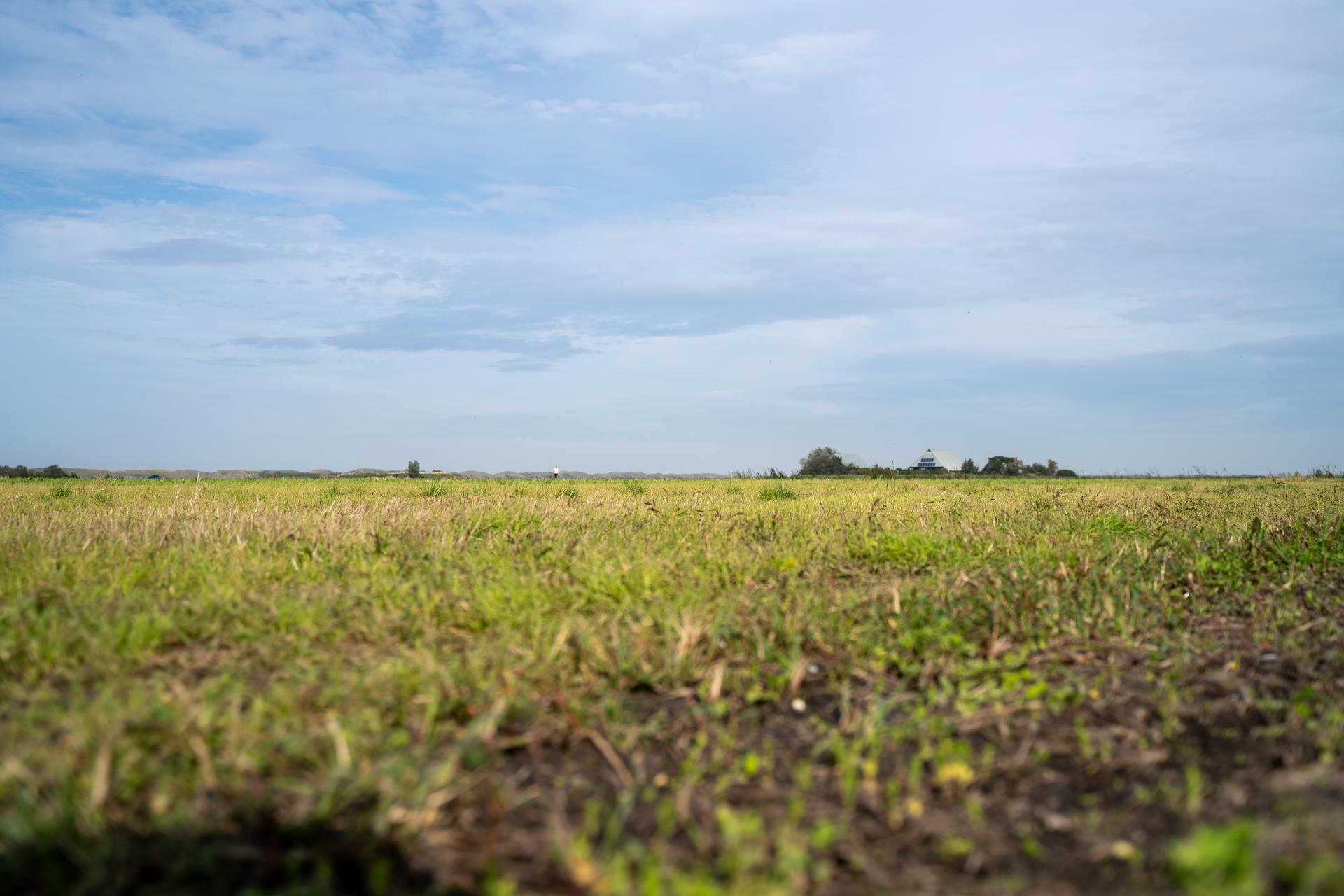 Perceel op Texel dat verziltingsproblemen heeft