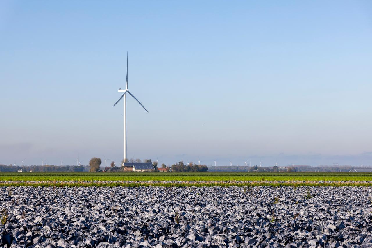 Flevoland