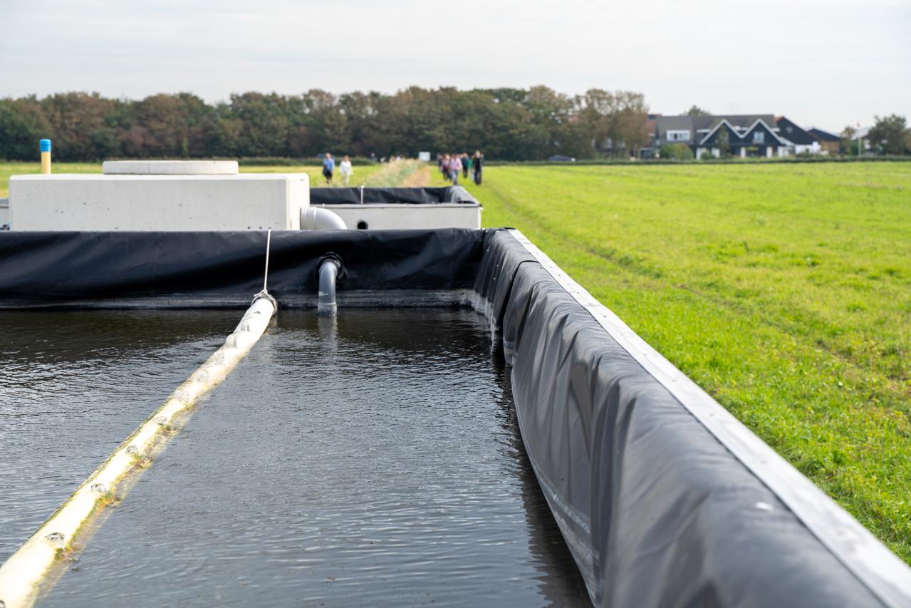 Waterbassin in weiland op Texel