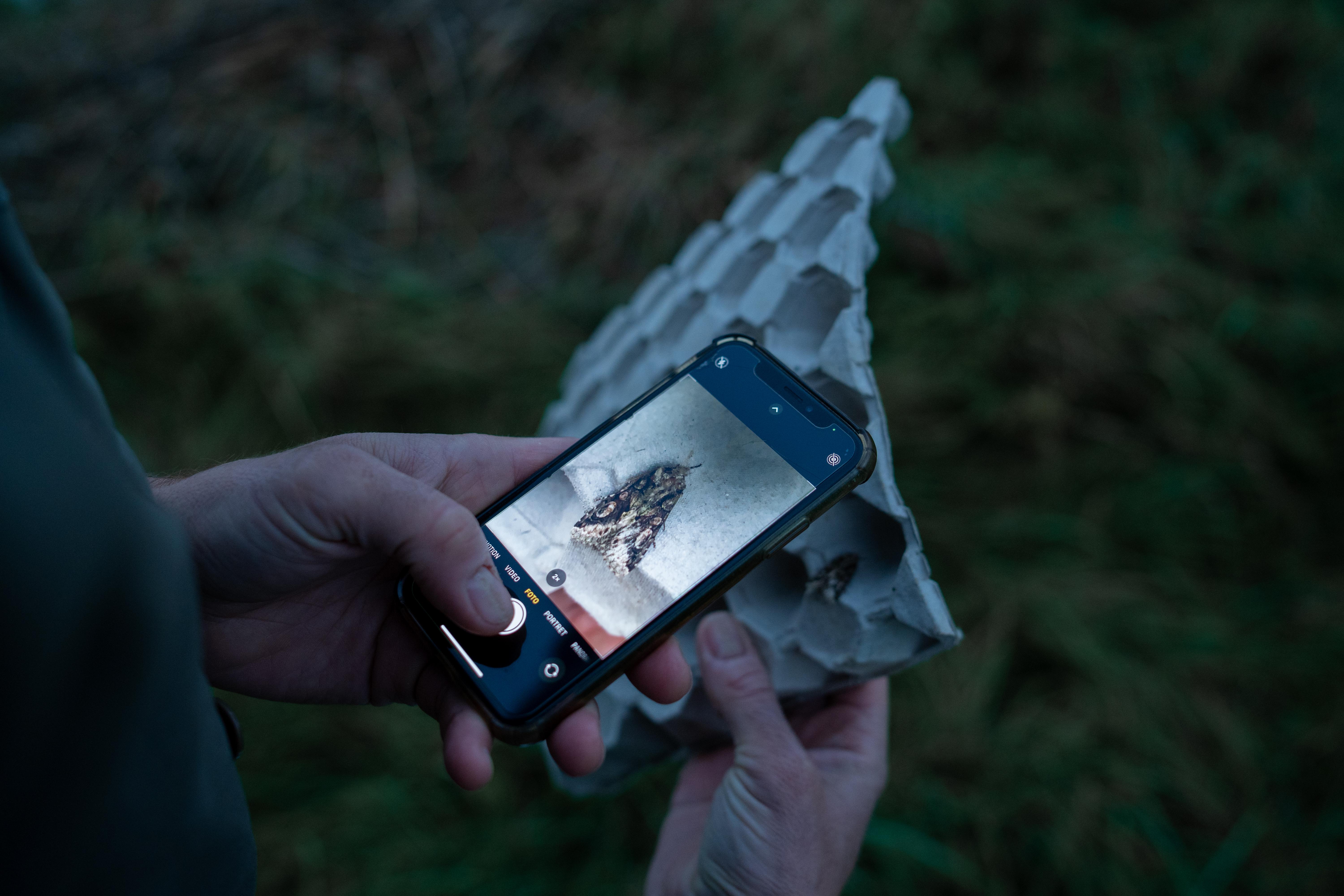 Boer fotografeert nachtvlinder