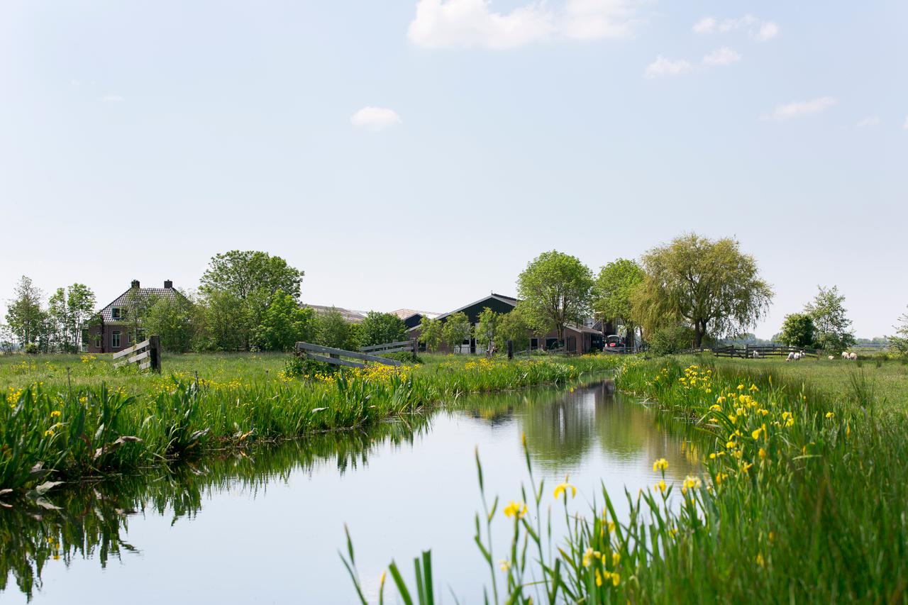 Sloot en boerderij