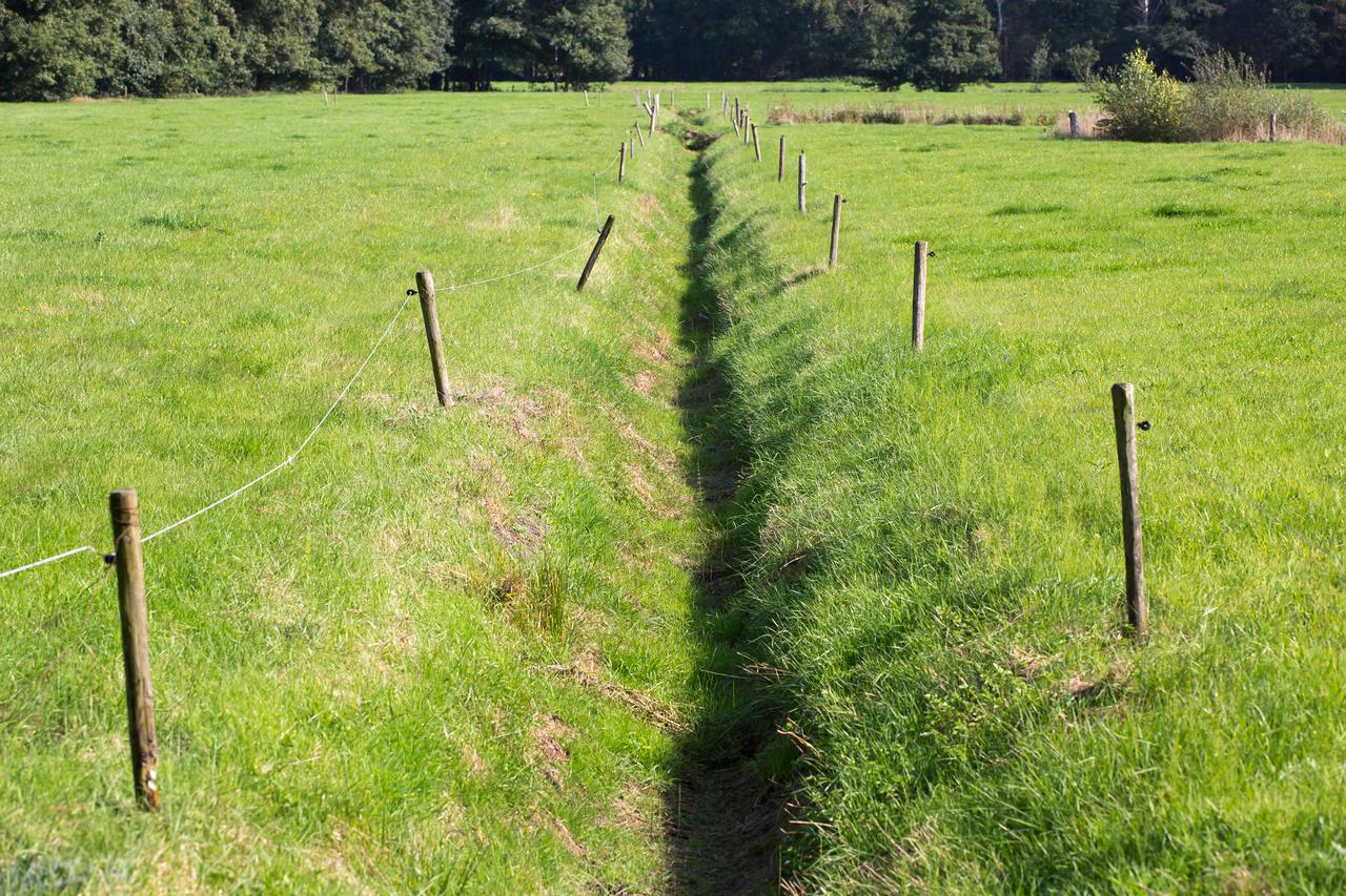 Vechtdal