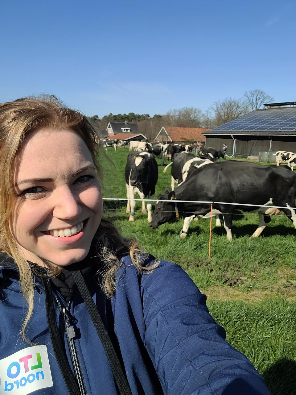 LTO Noord medewerkster op werkbezoek bij een melkveehouderij, met koeien in de wei.