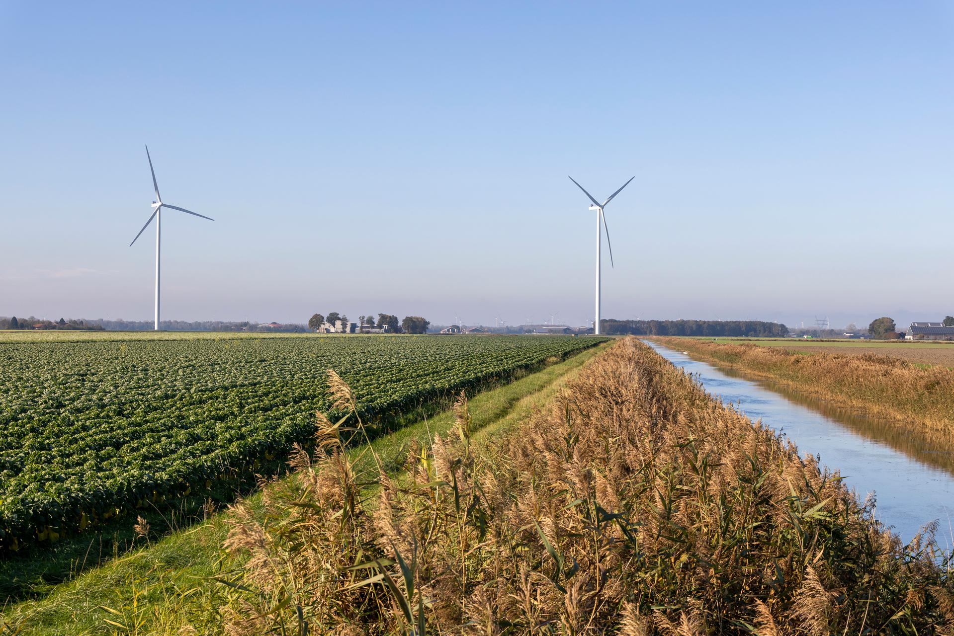 Akkerbouwperceel met windmolens en sloot in Flevopolder
