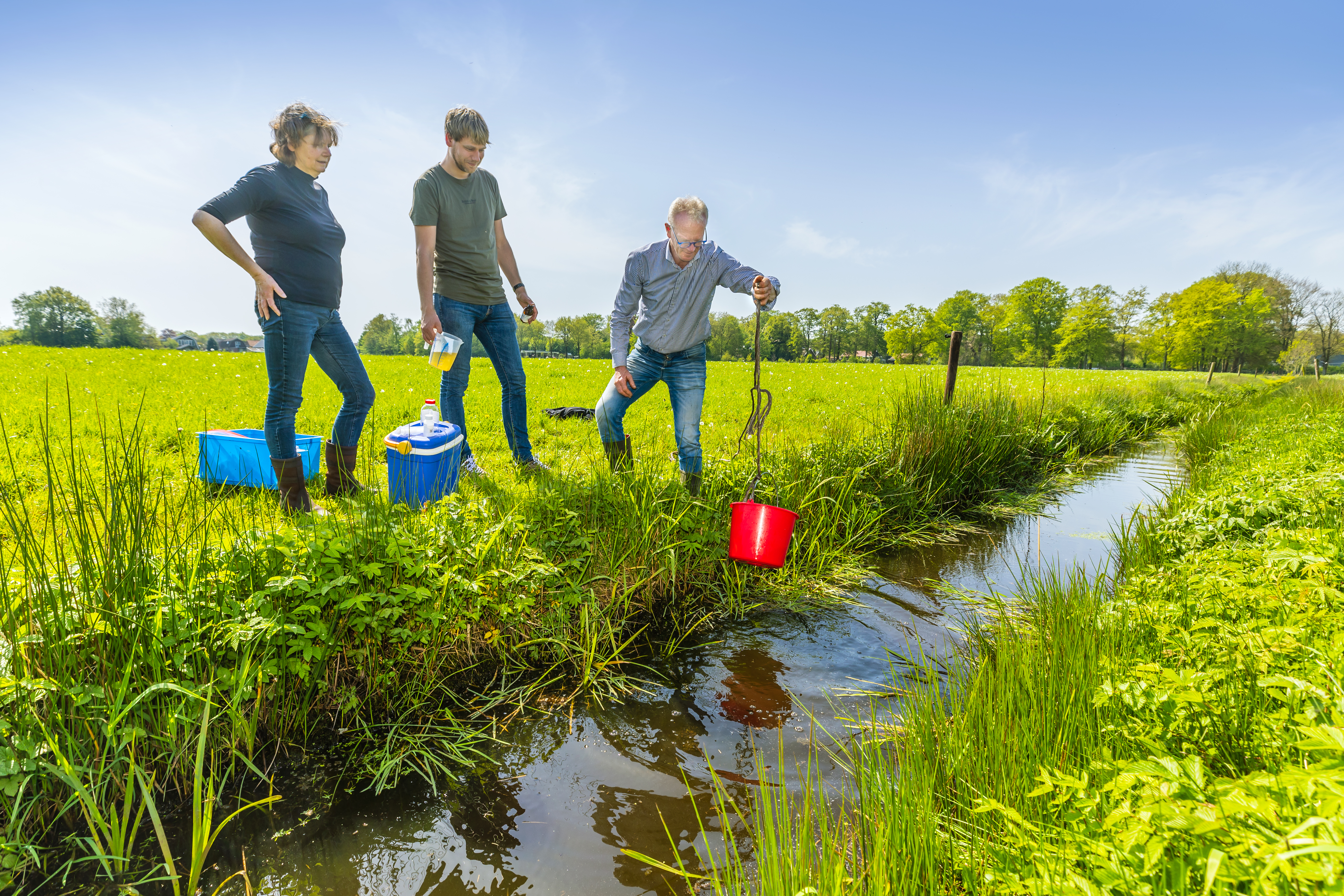 waterkwaliteit in de sloot