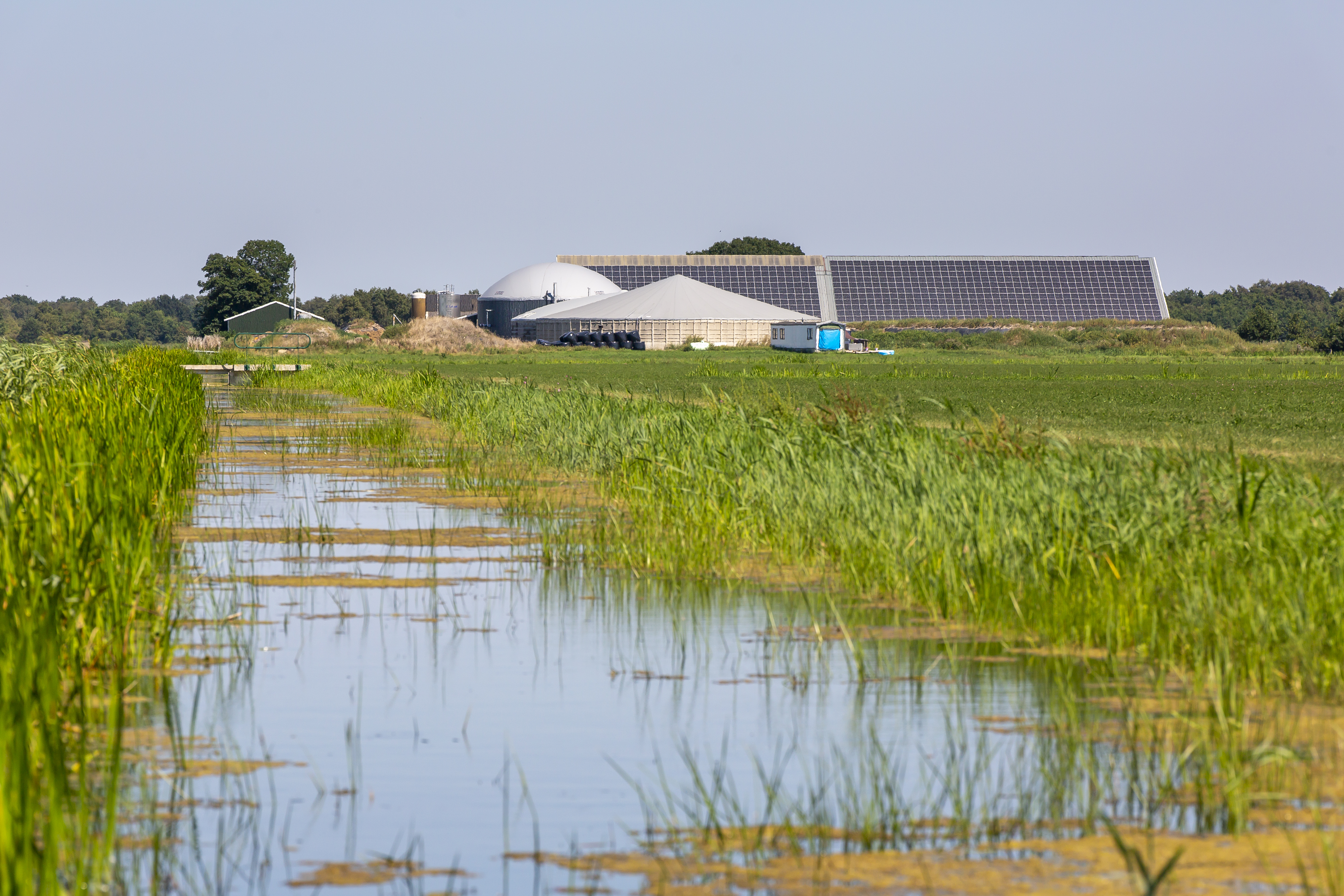Monomestvergisting: LTO Noord kritisch op voornemen gemeente Groningen om mestvergisting niet toe te staan.