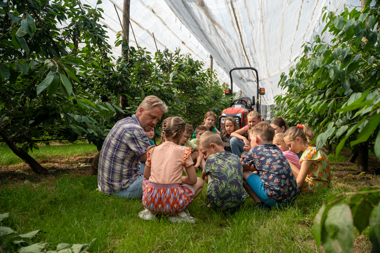 Kinderen in kas