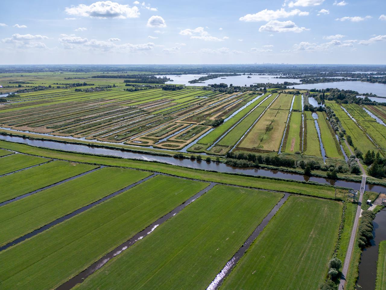 Omgeving
