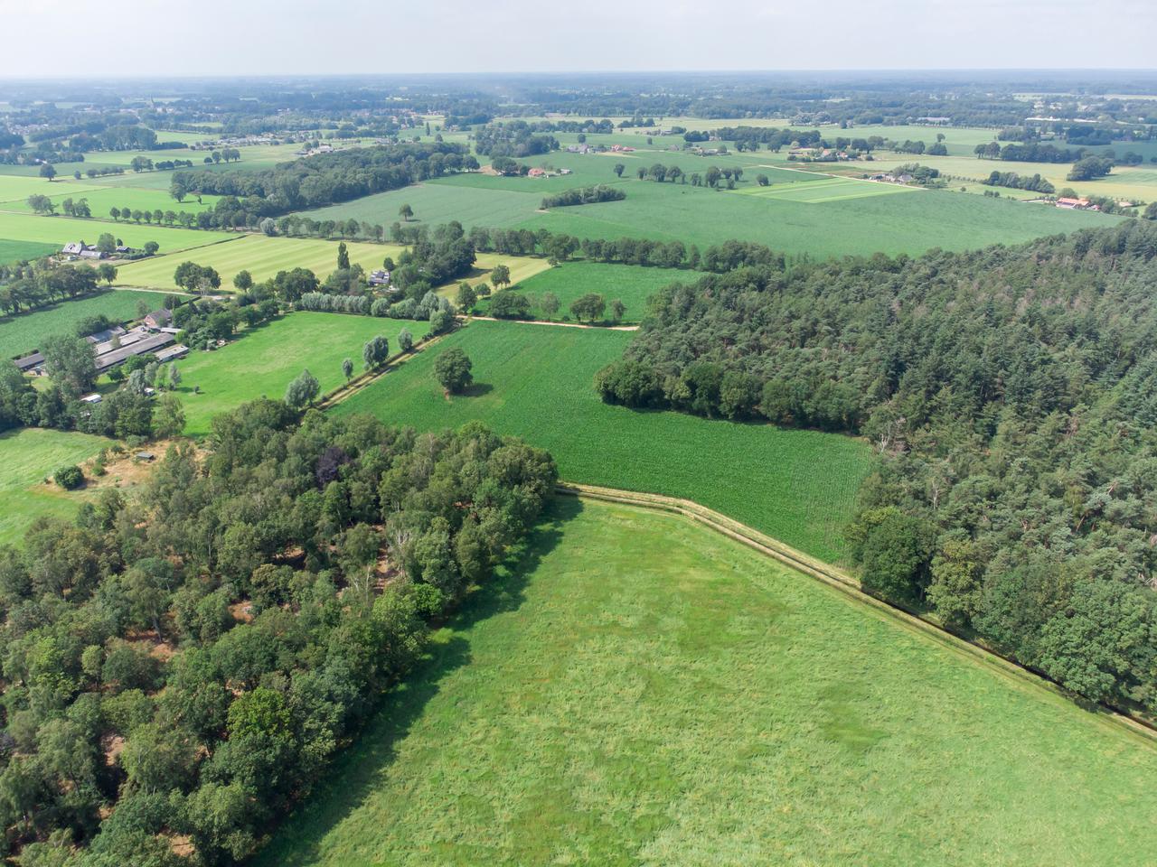 Gelderland