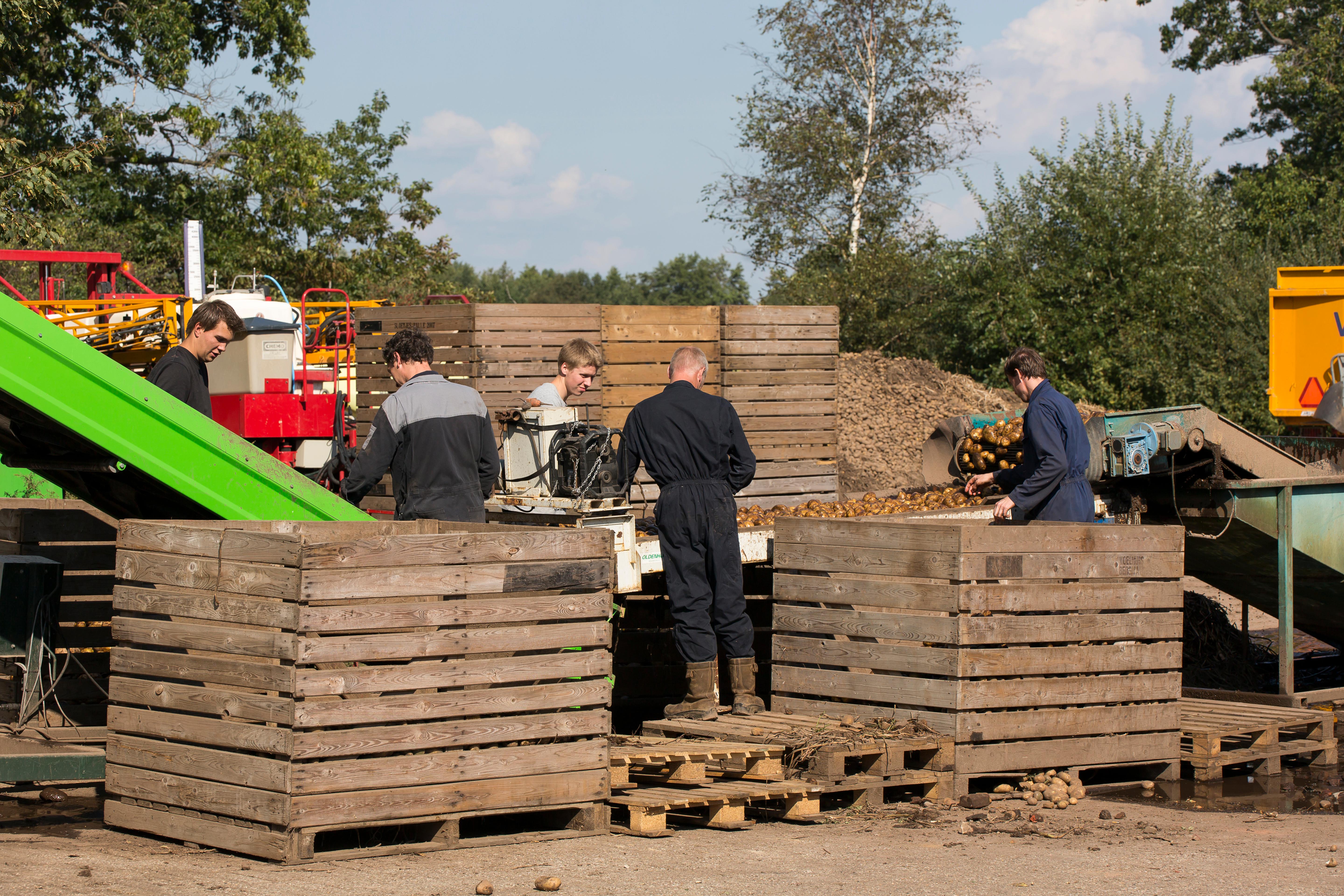 medewerkers bij akkerbouwer