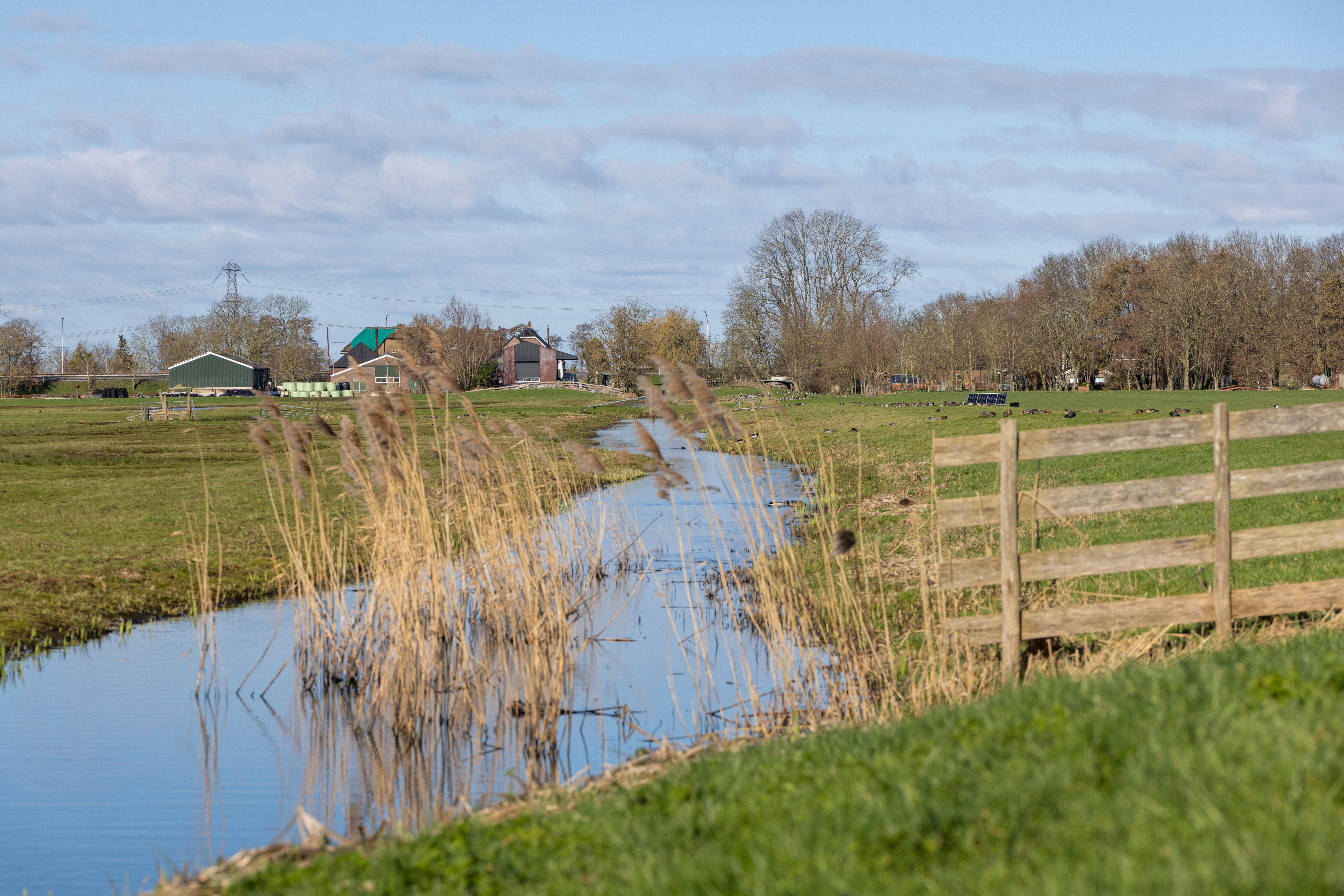 Polder in Zuid-Holland