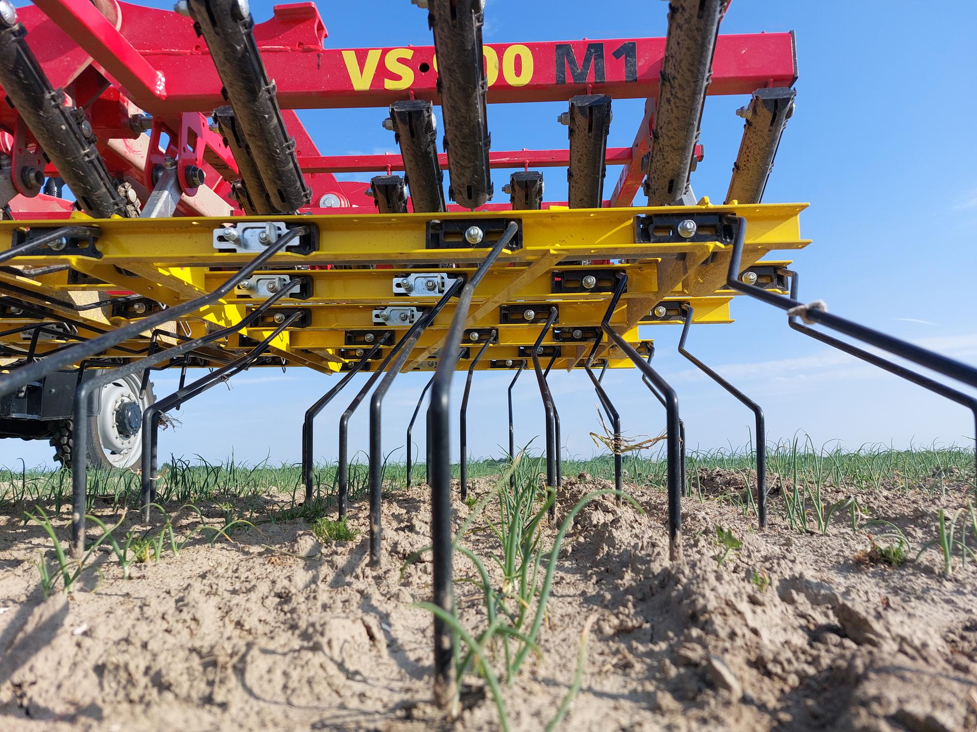 mechanische onkruidbestrijding met wiedeg
