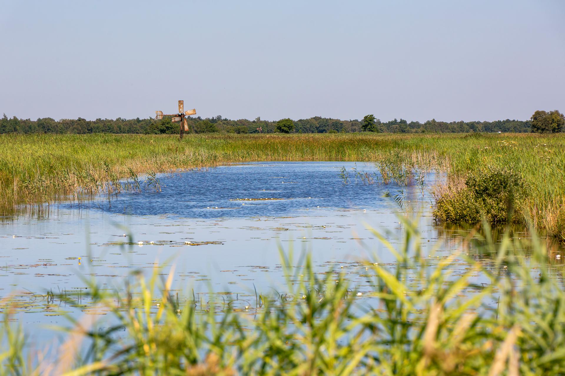 landbouw en waterschapsverkiezingen