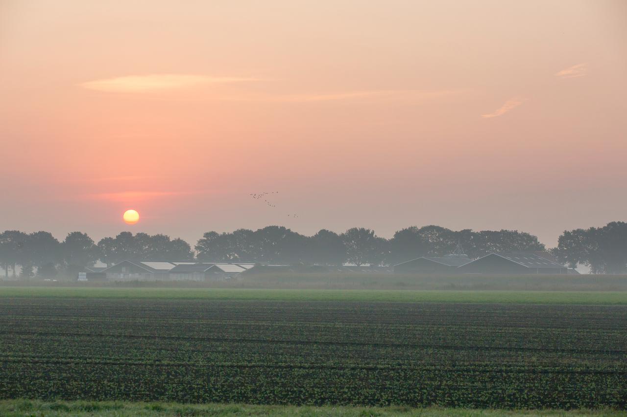 Ondergaande zon