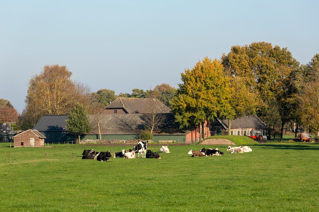 Gelderland