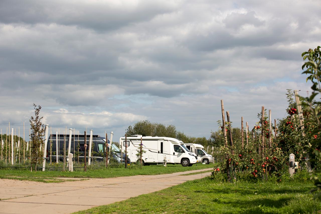 Multifunctionele landbouw - boerderij camping
