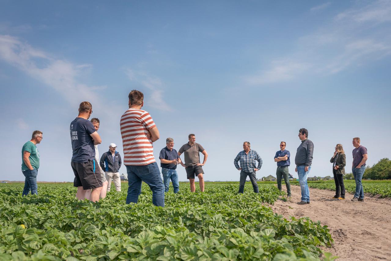 groep mensen op perceel in Texel