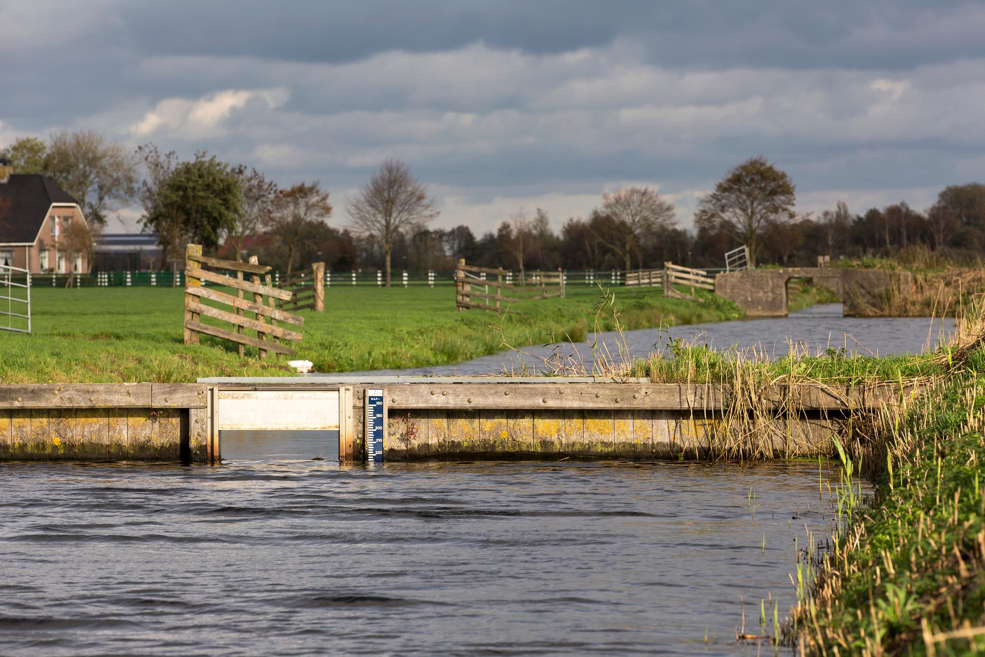 Stuw in sloot langs weilanden