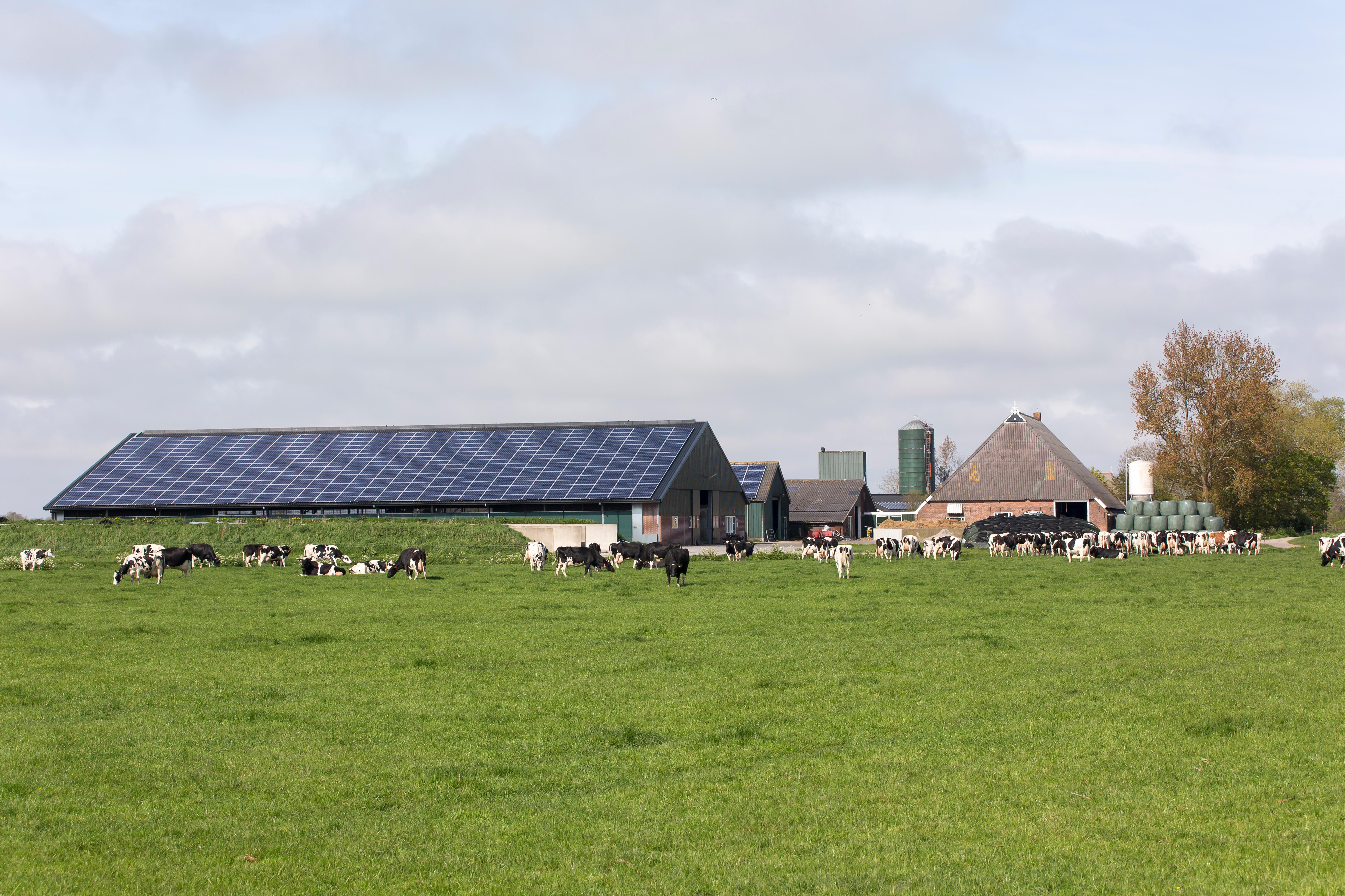 In Friesland werkt de agrarische sector samen met de overheid aan schoner water.