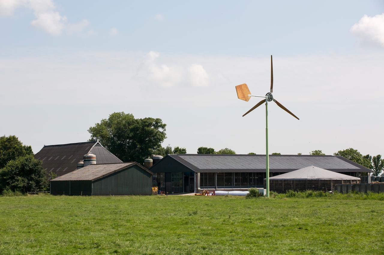 Boerderij windmolen in Groningen