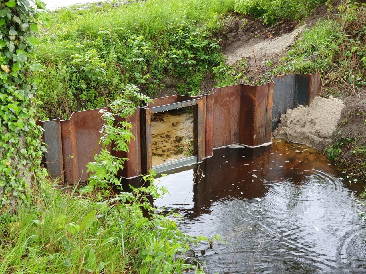 boerenstuw in sloot